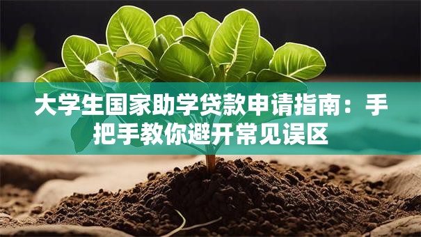 大学生国家助学贷款申请指南：手把手教你避开常见误区