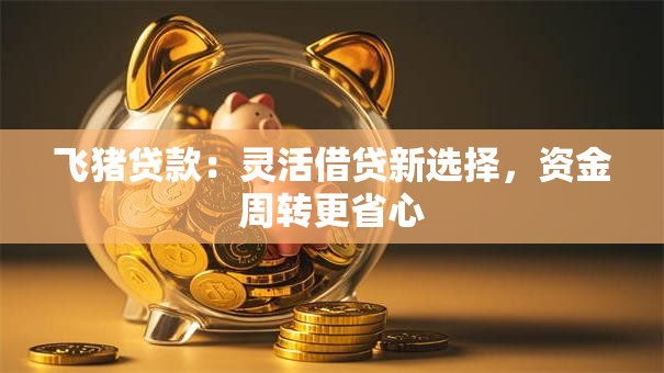 飞猪贷款：灵活借贷新选择，资金周转更省心
