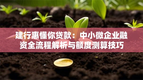 建行惠懂你贷款:中小微企业融资全流程解析与额度测算技巧 建行惠懂你贷款:中小微企业融资全流程解析与额度测算技巧