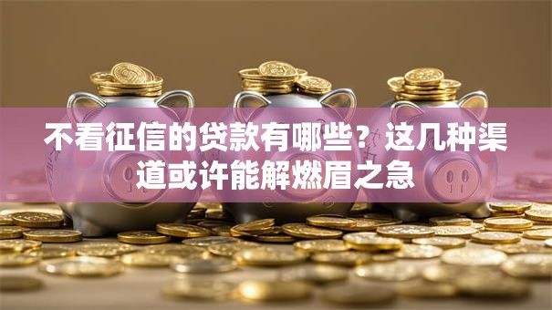不看征信的贷款有哪些？这几种渠道或许能解燃眉之急