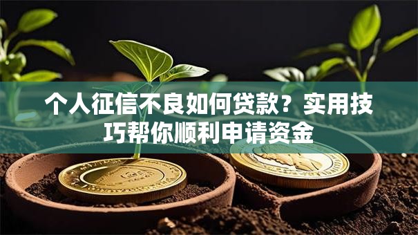 个人征信不良如何贷款？实用技巧帮你顺利申请资金