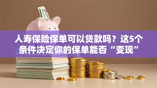 人寿保险保单可以贷款吗？这5个条件决定你的保单能否“变现”
