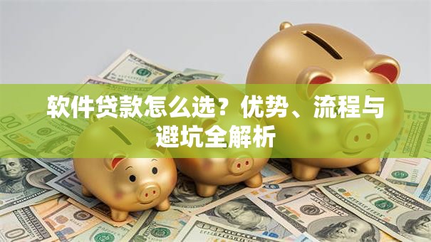 软件贷款怎么选？优势、流程与避坑全解析