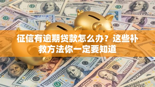 征信有逾期贷款怎么办？这些补救方法你一定要知道