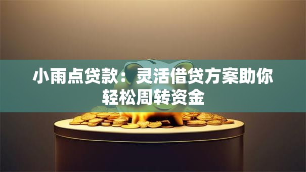 小雨点贷款：灵活借贷方案助你轻松周转资金
