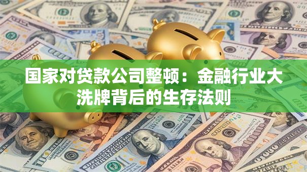 国家对贷款公司整顿：金融行业大洗牌背后的生存法则