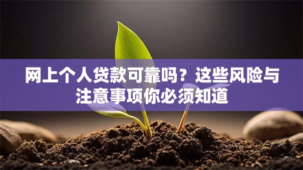 网上个人贷款可靠吗?这些风险与注意事项你必须知道 网上个人贷款可靠吗?这些风险与注意事项你必须知道
