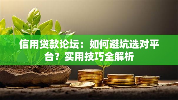 信用贷款论坛:如何避坑选对平台?实用技巧全解析 信用贷款论坛:如何避坑选对平台?实用技巧全解析