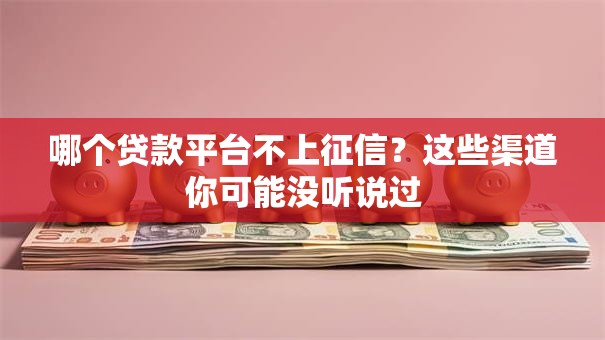 哪个贷款平台不上征信?这些渠道你可能没听说过 哪个贷款平台不上征信?这些渠道你可能没听说过