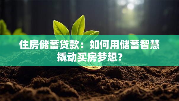 住房储蓄贷款:如何用储蓄智慧撬动买房梦想? 住房储蓄贷款:如何用储蓄智慧撬动买房梦想?