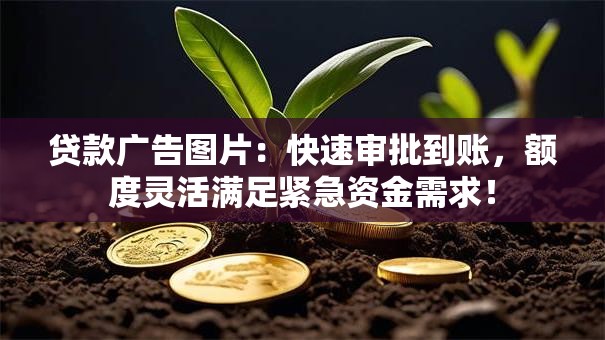 贷款广告图片:快速审批到账,额度灵活满足紧急资金需求! 贷款广告图片:快速审批到账,额度灵活满足紧急资金需求!