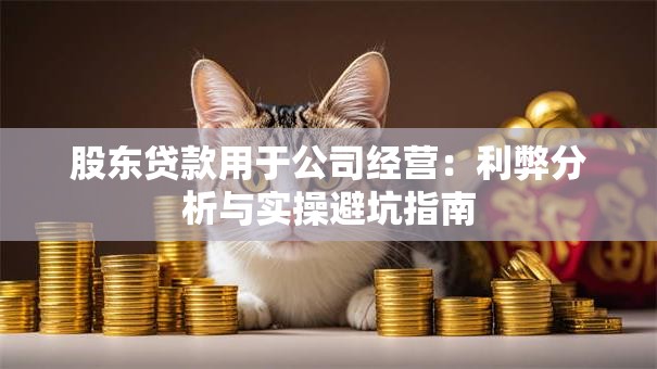 股东贷款用于公司经营:利弊分析与实操避坑指南 股东贷款用于公司经营:利弊分析与实操避坑指南