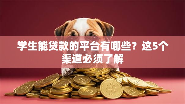 学生能贷款的平台有哪些？这5个渠道必须了解