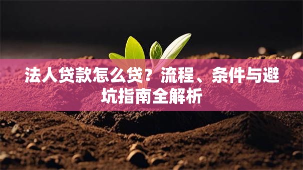 法人贷款怎么贷?流程、条件与避坑指南全解析 法人贷款怎么贷?流程、条件与避坑指南全解析