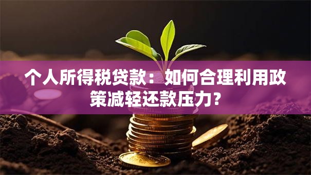 个人所得税贷款:如何合理利用政策减轻还款压力? 个人所得税贷款:如何合理利用政策减轻还款压力?