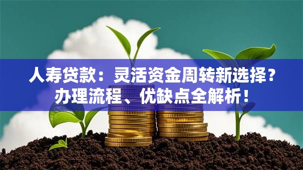 人寿贷款：灵活资金周转新选择？办理流程、优缺点全解析！