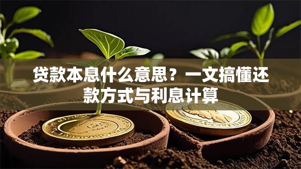 贷款本息什么意思?一文搞懂还款方式与利息计算 贷款本息什么意思?一文搞懂还款方式与利息计算