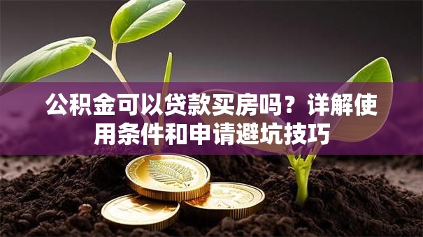 公积金可以贷款买房吗?详解使用条件和申请避坑技巧 公积金可以贷款买房吗?详解使用条件和申请避坑技巧
