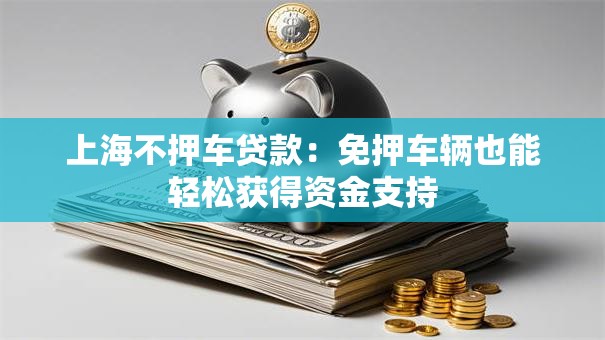 上海不押车贷款:免押车辆也能轻松获得资金支持 上海不押车贷款:免押车辆也能轻松获得资金支持