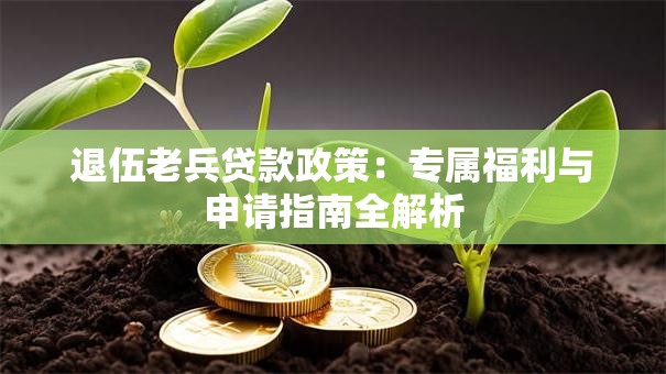 退伍老兵贷款政策:专属福利与申请指南全解析 退伍老兵贷款政策:专属福利与申请指南全解析