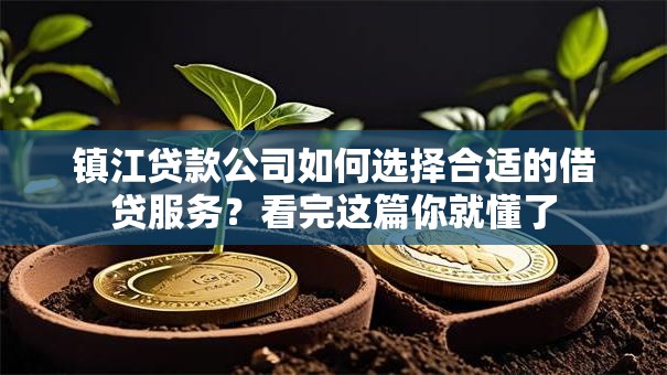 镇江贷款公司如何选择合适的借贷服务?看完这篇你就懂了 镇江贷款公司如何选择合适的借贷服务?看完这篇你就懂了