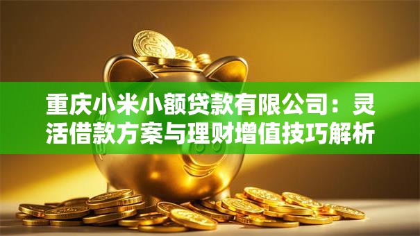 重庆小米小额贷款有限公司:灵活借款方案与理财增值技巧解析 重庆小米小额贷款有限公司:灵活借款方案与理财增值技巧解析