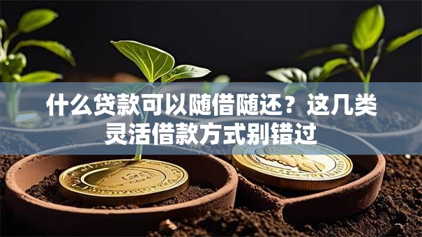 什么贷款可以随借随还？这几类灵活借款方式别错过