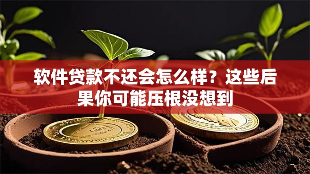 软件贷款不还会怎么样？这些后果你可能压根没想到