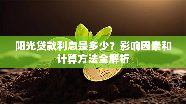 阳光贷款利息是多少？影响因素和计算方法全解析