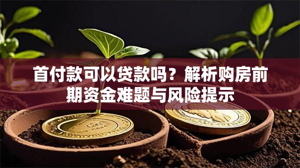 首付款可以贷款吗?解析购房前期资金难题与风险提示 首付款可以贷款吗?解析购房前期资金难题与风险提示