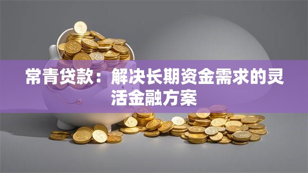 常青贷款：解决长期资金需求的灵活金融方案