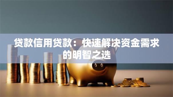 贷款信用贷款：快速解决资金需求的明智之选