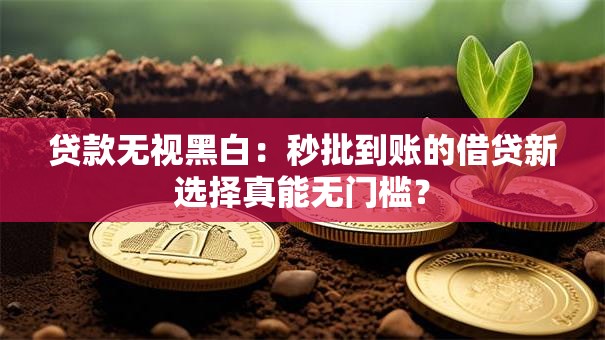 贷款无视黑白:秒批到账的借贷新选择真能无门槛? 贷款无视黑白:秒批到账的借贷新选择真能无门槛?