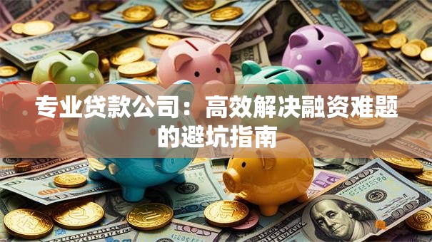 专业贷款公司：高效解决融资难题的避坑指南