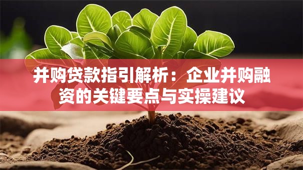 并购贷款指引解析:企业并购融资的关键要点与实操建议 并购贷款指引解析:企业并购融资的关键要点与实操建议