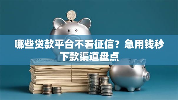 哪些贷款平台不看征信？急用钱秒下款渠道盘点
