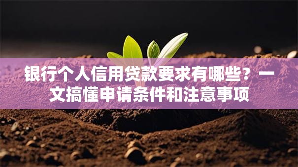 银行个人信用贷款要求有哪些？一文搞懂申请条件和注意事项
