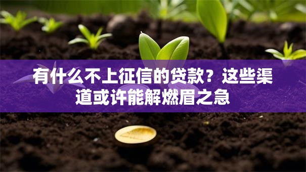 有什么不上征信的贷款？这些渠道或许能解燃眉之急