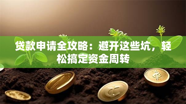 贷款申请全攻略：避开这些坑，轻松搞定资金周转