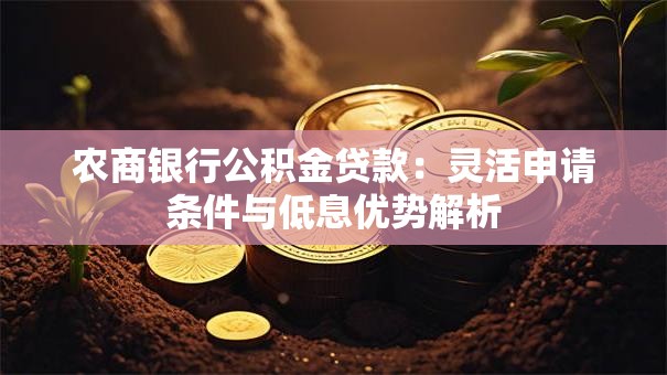 农商银行公积金贷款：灵活申请条件与低息优势解析
