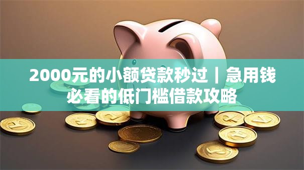 2000元的小额贷款秒过｜急用钱必看的低门槛借款攻略