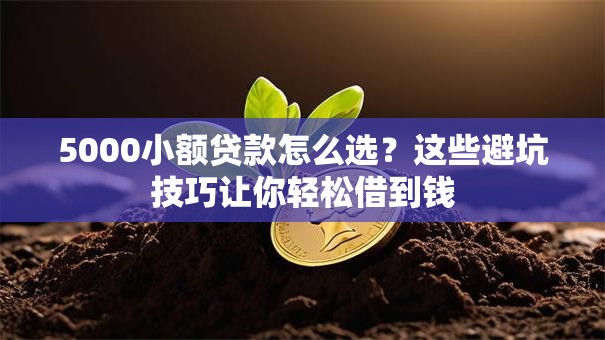 5000小额贷款怎么选？这些避坑技巧让你轻松借到钱