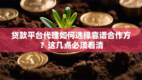 贷款平台代理如何选择靠谱合作方?这几点必须看清 贷款平台代理如何选择靠谱合作方?这几点必须看清