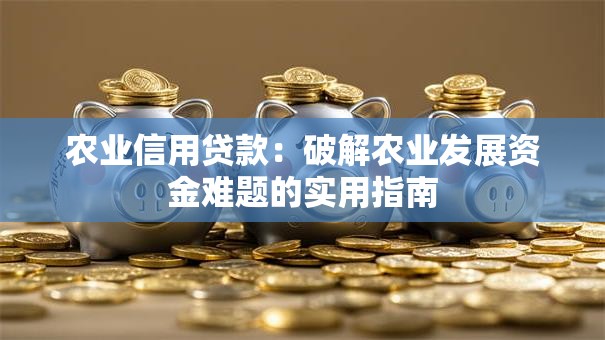 农业信用贷款：破解农业发展资金难题的实用指南