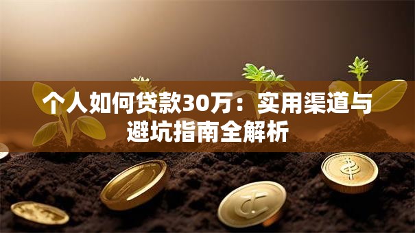 个人如何贷款30万：实用渠道与避坑指南全解析