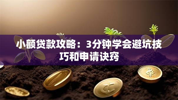 小额贷款攻略:3分钟学会避坑技巧和申请诀窍 小额贷款攻略:3分钟学会避坑技巧和申请诀窍
