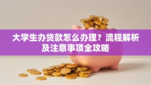 大学生办贷款怎么办理？流程解析及注意事项全攻略