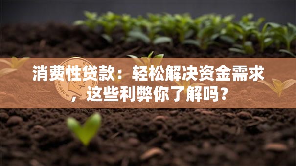 消费性贷款：轻松解决资金需求，这些利弊你了解吗？