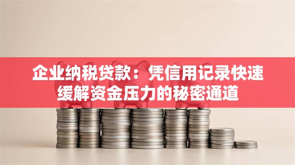 企业纳税贷款：凭信用记录快速缓解资金压力的秘密通道