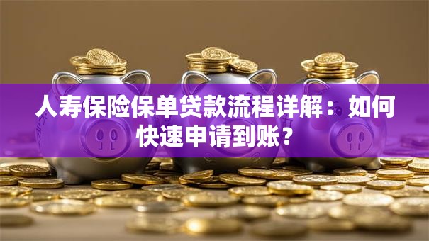 人寿保险保单贷款流程详解：如何快速申请到账？